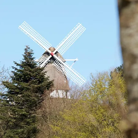 Jurte * Svendborg